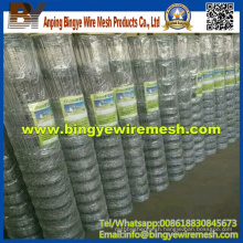 Grassland Field Fence/Poultry Mesh Fence for USA